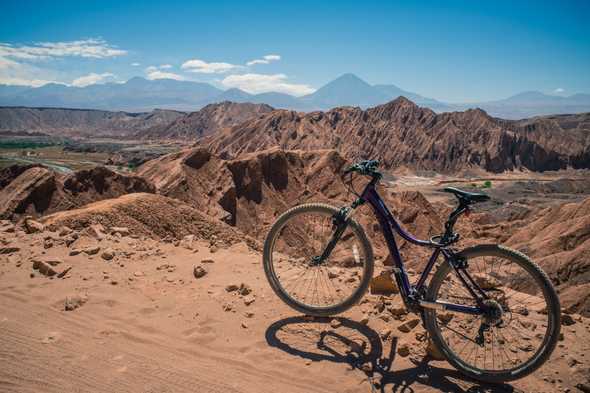 Purple Trek.